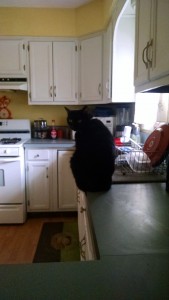 IMG_20150513_173557470