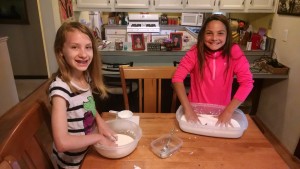 IMG_20150530_091533319