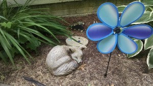 IMG_20150608_153154421