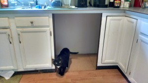 IMG_20150608_155118102_HDR