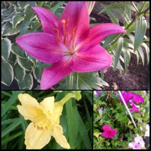 PhotoGrid_1434540510497