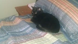 IMG_20150702_162856812