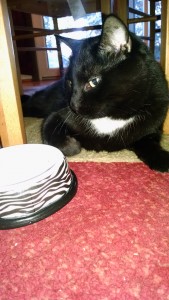 IMG_20150731_065038130