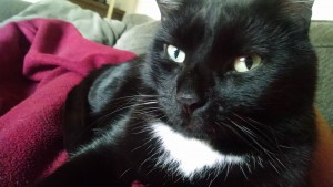 IMG_20150803_192633672