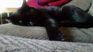 IMG_20150807_070652878