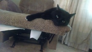 IMG_20150814_172519675