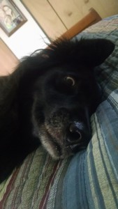 IMG_20150907_154507028