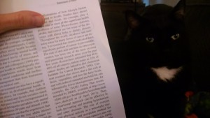 IMG_20150908_120156471