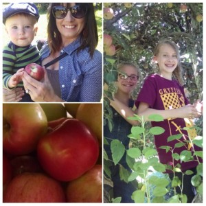 PhotoGrid_1442236218963