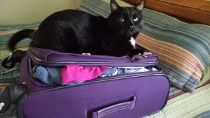 IMG_20151106_134252832