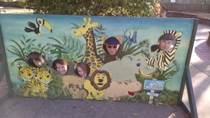 IMG_20151107_090823293