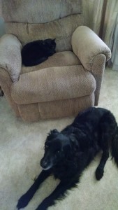 IMG_20151109_114106664