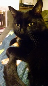 IMG_20151119_221349982