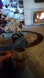 IMG_20151128_143100061