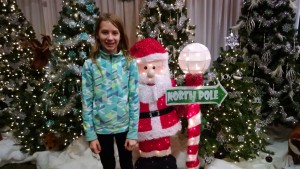 IMG_20151129_111707412