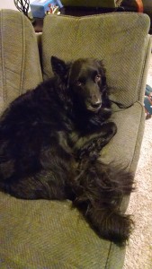 IMG_20151130_204009210