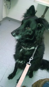 IMG_20151211_095854514