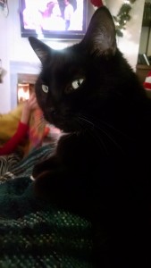 IMG_20151218_153104536