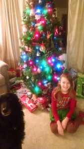 IMG_20151224_175538723