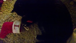 IMG_20151225_083520158