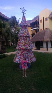 IMG_20151231_164243526