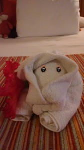 IMG_20160101_113809554