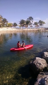 IMG_20160101_142701789