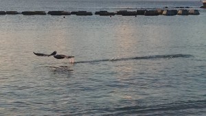 IMG_20160103_073803062