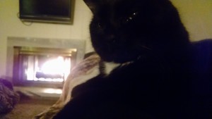 IMG_20160107_172200838