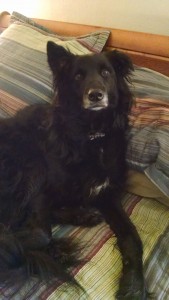 IMG_20160108_102504429