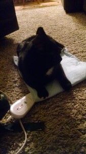 IMG_20160111_194004671