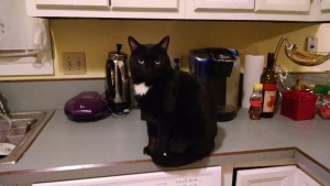 IMG_20160120_061513294