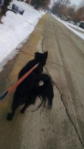 IMG_20160121_073800627