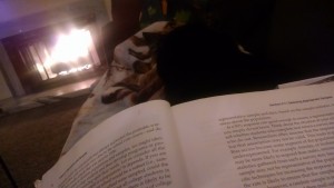 IMG_20160126_084622932