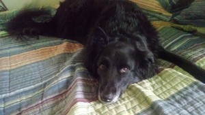 IMG_20160128_110621420