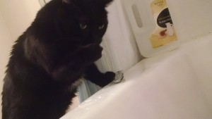 IMG_20160204_144619855