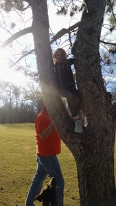 IMG_20160207_152429552