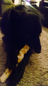 IMG_20160213_202520773