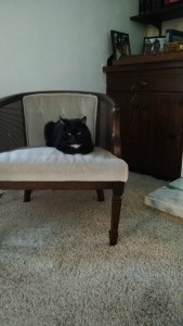 Snapchat-8112258439924030960