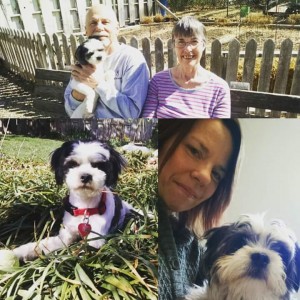 FB_IMG_1458439518621