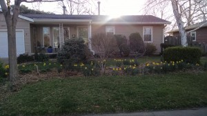 IMG_20160317_083840274