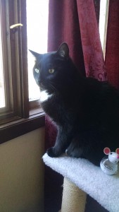 IMG_20160321_142710701