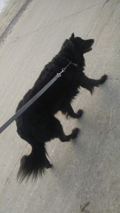 Snapchat-342310078981379365