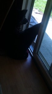 Snapchat-7000417287437709588