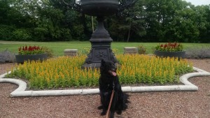 IMG_20160612_100956188