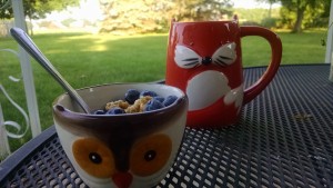 IMG_20160614_072600986