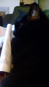 IMG_20160617_061602494