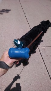 IMG_20160701_131638358