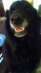 IMG_20160812_142659712