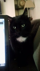 IMG_20160826_155426929